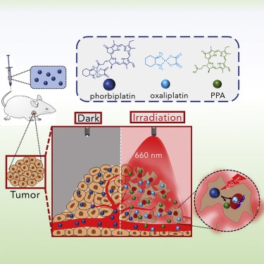 Forbiplatino contro il cancro