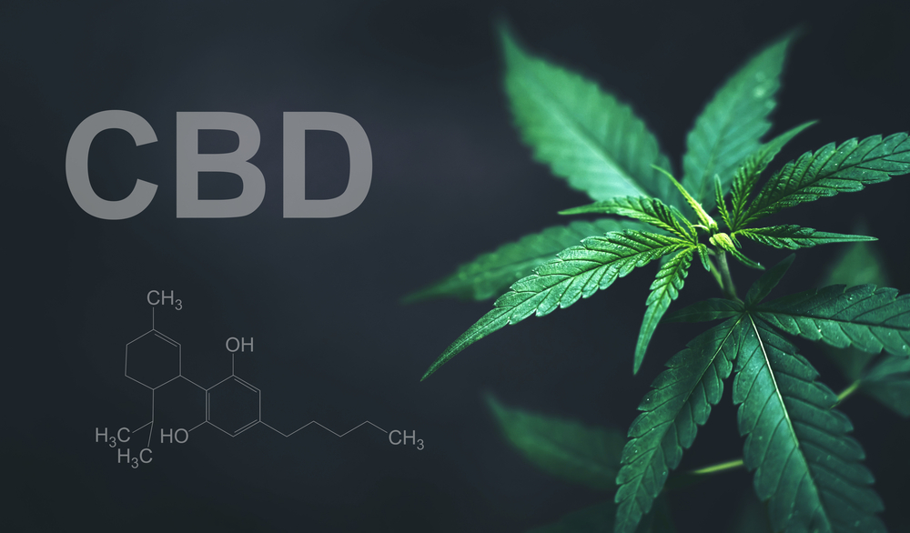 CBD: nuove regolamentazioni e potenziali terapeutici